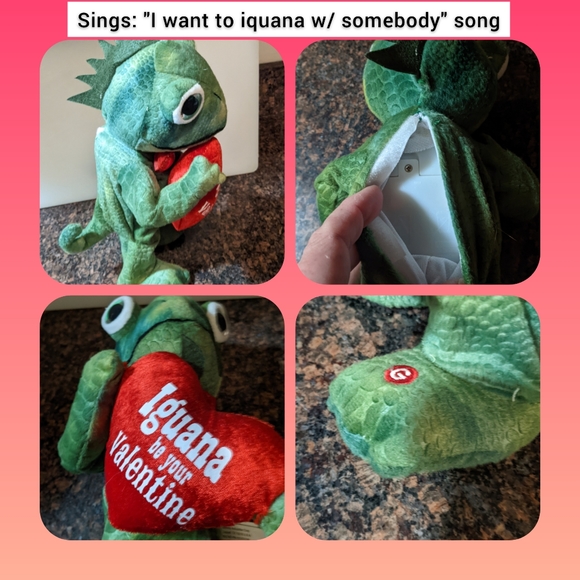Singing & dancing iguana, sings "I iquana dance w somebody" Whitney Houston song - Picture 3 of 5